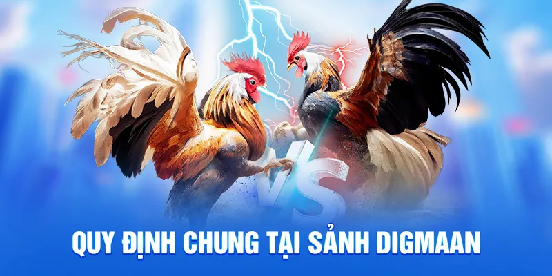 Sảnh Digmaan - Đấu Trường Đá Gà Online Uy Tín Tại 78win 2 Quy tắc thi đấu tại sảnh digmaan